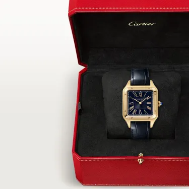 Cartier watches